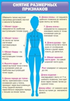Стенд "Снятие мерок" (вариант 2) - «globural.ru» - Тверь