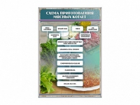 Стенд "Схема приготовления мясных котлет" - «globural.ru» - Тверь