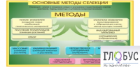 Стенд "Методы селекции и биотехнологии" - «globural.ru» - Тверь