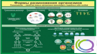 Стенд "Формы размножения организмов" - «globural.ru» - Тверь