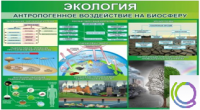 Стенд "Экология. Антропогенное воздействие на биосферу" - «globural.ru» - Тверь