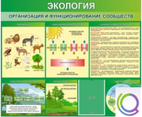 Стенд "Экология. Организация и функционирование сообществ" - «globural.ru» - Тверь