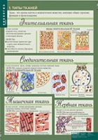 Биология 8-9 класс. Человек. (комплект таблиц) - «globural.ru» - Тверь