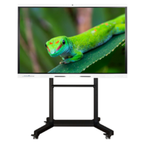 Интерактивный комплекс Geckotouch ​​​​​​​65RK - «globural.ru» - Тверь