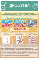 Стенд "Диффузия" - «globural.ru» - Тверь