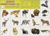 Раздаточные карточки "Дикие животные" часть 2 - «globural.ru» - Тверь