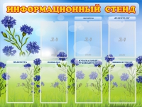 Стенд информационный с 7 карманами - «globural.ru» - Тверь