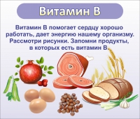 Стенд "Витамин В" - «globural.ru» - Тверь