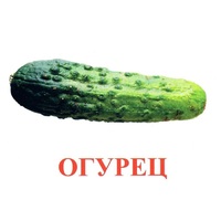 Карточки Домана "Овощи-Зелень-1" - «globural.ru» - Тверь