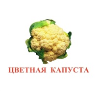Карточки Домана "Овощи-Зелень-2" - «globural.ru» - Тверь