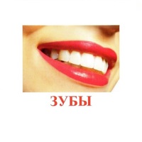 Карточки Домана "Части тела" - «globural.ru» - Тверь