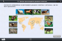 Интерактивные курсы. Биология 7 класс. Расширенный - «globural.ru» - Тверь