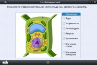 Интерактивные курсы. Биология 9 класс. Расширенный - «globural.ru» - Тверь