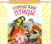 CD "Аудиоэнциклопедия. Городские птицы" - «globural.ru» - Тверь