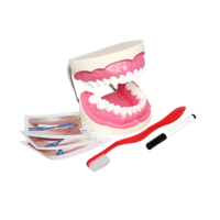 Игровой комплект "Чистим зубы" - «globural.ru» - Тверь