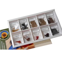 Коллекция "Плоды сельскохозяйственных растений" (вариант 2) - «globural.ru» - Тверь