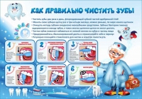 Стенд "Как правильно чистить зубы" - «globural.ru» - Тверь