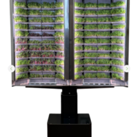 Вертикальная  ферма «Моя микрозелень» комплектация  «Театро настенная» - «globural.ru» - Тверь