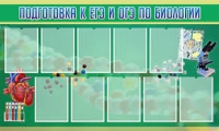 Стенд "Подготовка к ЕГЭ и ОГЭ по биологии" (вариант 2) - «globural.ru» - Тверь