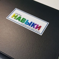 Навыки социальной адаптации. Развивающие пособие на липучках  - «globural.ru» - Тверь