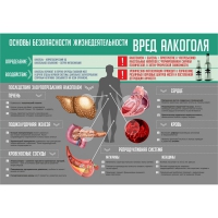 Стенд "Алкоголь" - «globural.ru» - Тверь