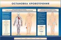 Электрифицированный стенд-тренажер "Остановка кровотечения" - «globural.ru» - Тверь