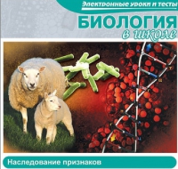 CD "Биология в школе. Наследование признаков" (электронные уроки и тесты) - «globural.ru» - Тверь