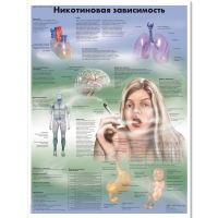 Плакат "Никотиновая зависимость", ламинированный, 50*67 см - «globural.ru» - Тверь