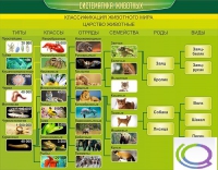 Стенд "Систематика животных" - «globural.ru» - Тверь