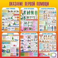 Стенд "Оказание первой помощи" - «globural.ru» - Тверь