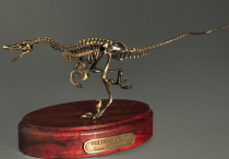 Модель скелета динозавра Velociraptor - «globural.ru» - Тверь