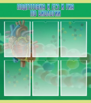 Стенд "Подготовка к ЕГЭ и ОГЭ по биологии" (вариант 1) - «globural.ru» - Тверь