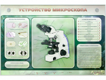 Электрифицированный стенд "Устройство микроскопа и правила работы c ним" - «globural.ru» - Тверь