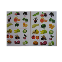 Английское лото "Фрукты-Овощи" - «globural.ru» - Тверь