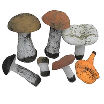 Набор муляжей грибов 7 штук - «globural.ru» - Тверь