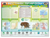 Стенд-уголок "Вестник природы" (вариант 1) - «globural.ru» - Тверь