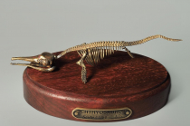 Модель скелета ихтиозавра Ichthyosaurus - «globural.ru» - Тверь