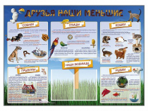 Стенд-уголок "Друзья наши меньшие" - «globural.ru» - Тверь