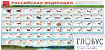 Стенд "Красная книга РФ" - «globural.ru» - Тверь