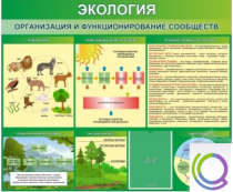 Стенд "Экология. Организация и функционирование сообществ" - «globural.ru» - Тверь