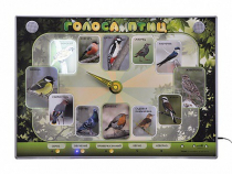 Электрифицированный стенд-часы "Голоса птиц" с комплектом дидактического материала - «globural.ru» - Тверь