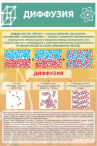 Стенд "Диффузия" - «globural.ru» - Тверь
