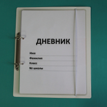 Дневник школьника (с полным набором карточек) - «globural.ru» - Тверь