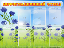 Стенд информационный с 7 карманами - «globural.ru» - Тверь