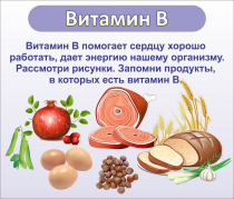 Стенд "Витамин В" - «globural.ru» - Тверь