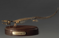 Модель скелета мозазавра Mosasaurus - «globural.ru» - Тверь