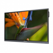 Интерактивный программно-аппаратный комплекс Geckotouch Interactive Pro IP75HT-E в комплекте с настенным креплением - «globural.ru» - Тверь