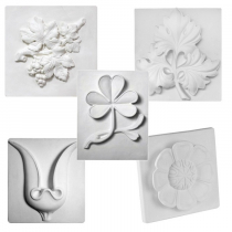 Комплект гипсовых моделей растений  - «globural.ru» - Тверь