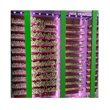 Вертикальная ферма "Моя Микрозелень" комплектация Школьная - «globural.ru» - Тверь