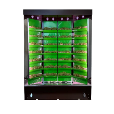 Вертикальная ферма "Моя Микрозелень" комплектация "Театро настольная" - «globural.ru» - Тверь